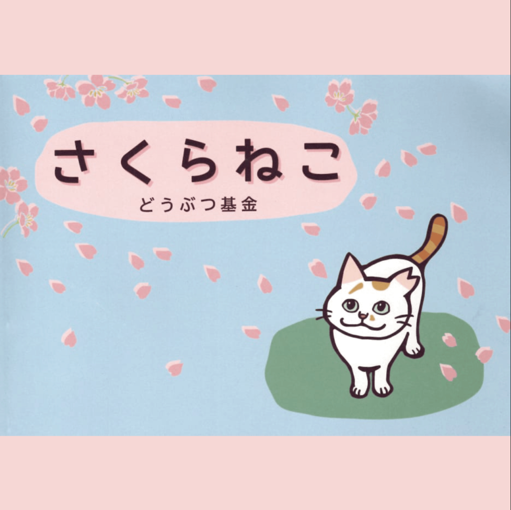 さくらねこ | 一般社団法人 歯科未来コンサルティング協会